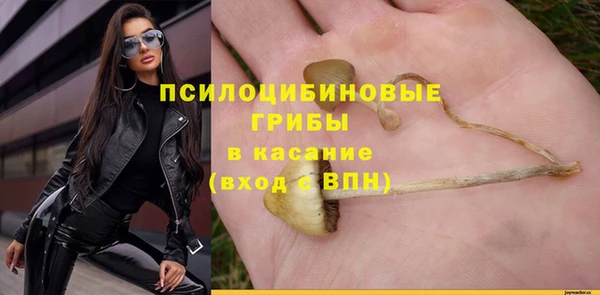 индика Аркадак