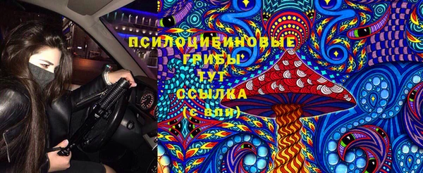 индика Аркадак