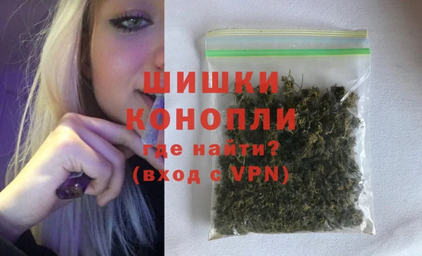 индика Аркадак
