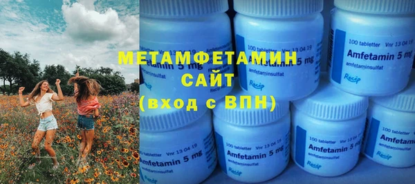 индика Аркадак