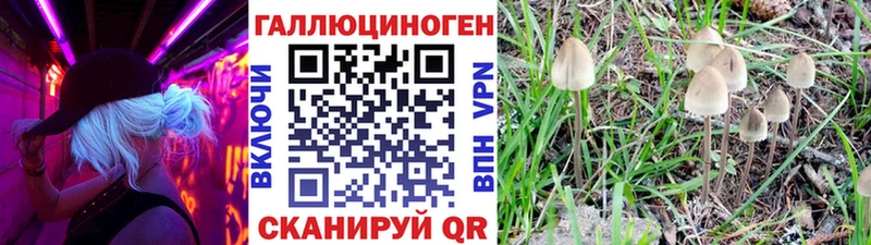Галлюциногенные грибы ЛСД Орёл
